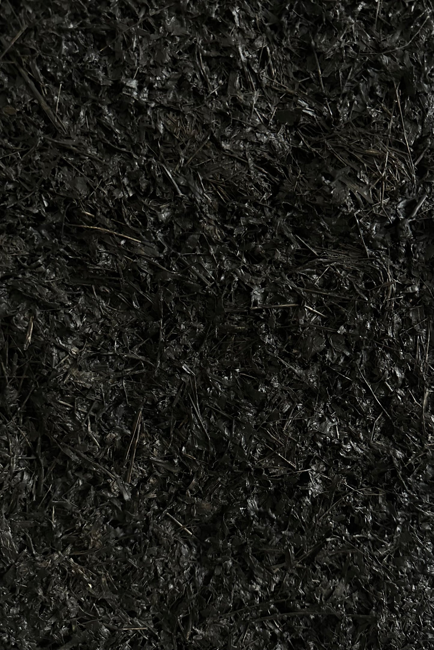 ARCHE studio artwork 03