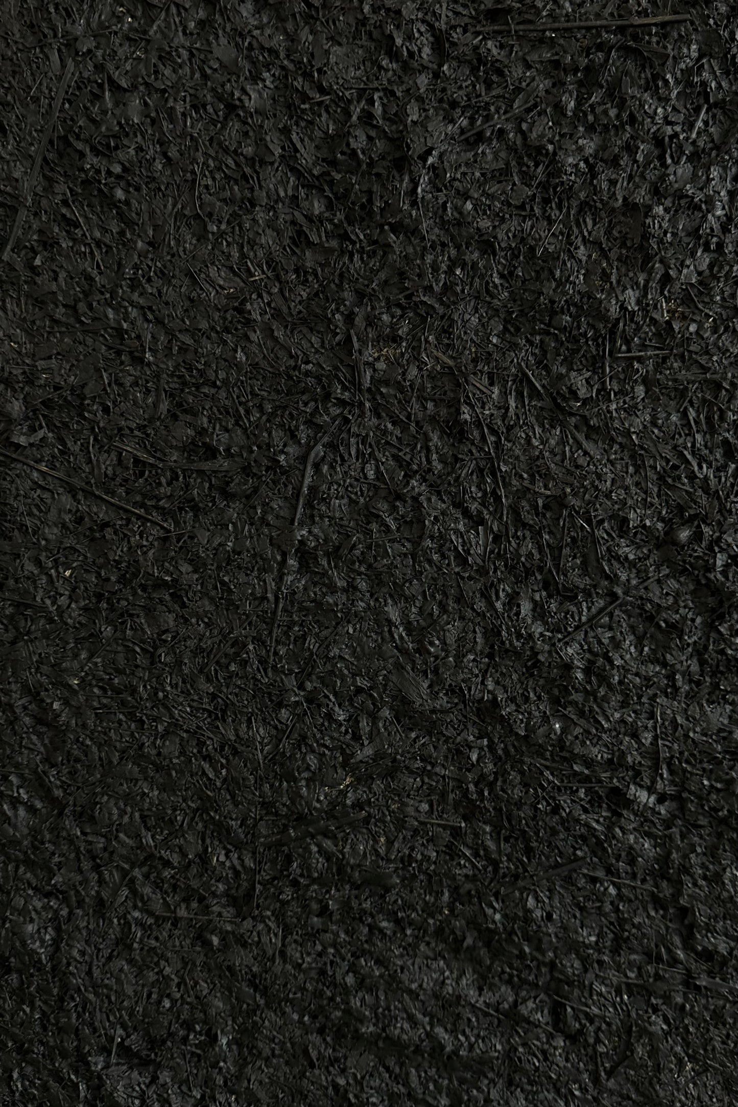 ARCHE 01