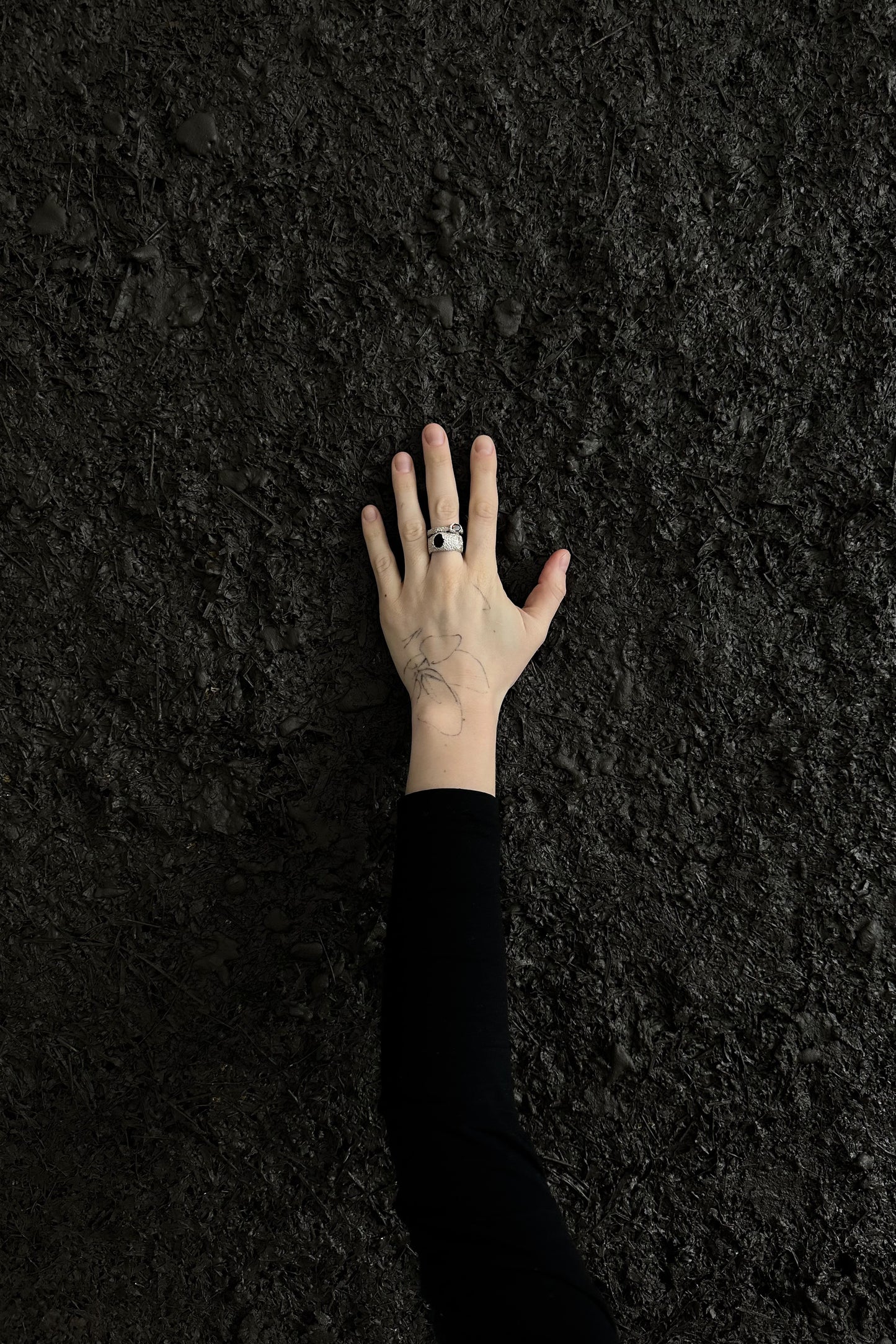 ARCHE 01