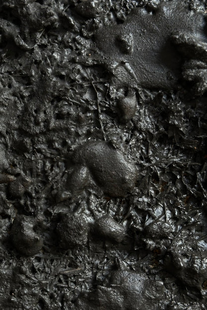ARCHE studio artwork 06